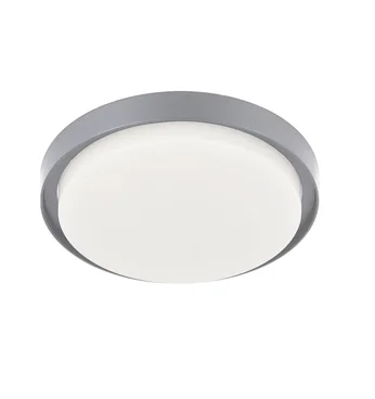 NE2015M-1C Ceiling Lamps