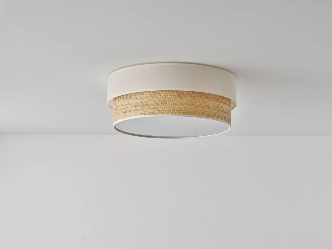 NE2021-1C Ceiling Lamps