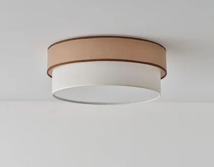 NE2022-1C Ceiling Lamps